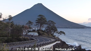 せびら自然公園から見る開聞岳＆枚聞神社＆開聞駅