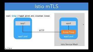 11 20 Istio mTLS