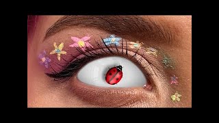 Magic Transformation! Ladybug In the Eye? 🐞👀