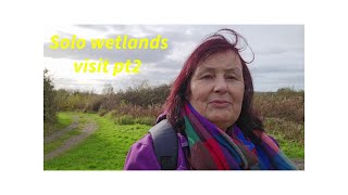 wetlands part 2