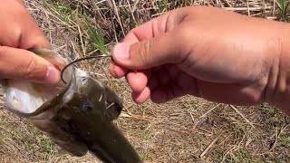 How to Remove a Fishing Hook from a Largemouth Bass - The Proper Way!