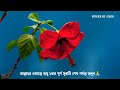 সূরা ইব্রাহীম surah ibraheem 1 বার শুধু শুনুন🔥শুনলেই 20মিনিটের মধ্যে আপনার মনের আশা পূরণ হবে