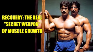 MIKE MENTZER: RECOVERY - THE REAL SECRET WEAPON OF MUSCLE GROWTH #mikementzer #gym #motivation