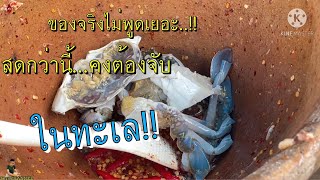 3ครก EP.154 สดไหมจ๊ะ!! สดกว่านี้ ต้องไปจับในทะเล🥗🦑🦞🦐🦀ส้มตำยำ3ครก