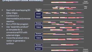 Gene Synthesis