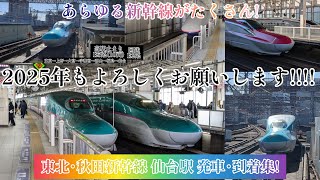 【年明け新幹線スペシャル！】東北･秋田新幹線 仙台駅 発車･到着集！Tohoku-Akita Shinkansen departing＆stopped from Sendai Station！