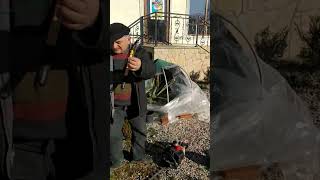 წიწვოვანი მცენარეების ნაბიჯ-ნაბიჯ ფორმირება დამწყები და მოყვარული მებაღეებისათვის