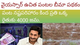 YSR ఉచిత పంటల బీమా పథకం || 4000/ credit your bank latest update || Government Schemes.