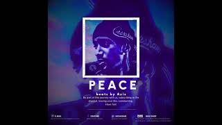 [FREE] Nipsey Hussle Type Beat "Peace" | Produced by Aziz Mani 🎹👽