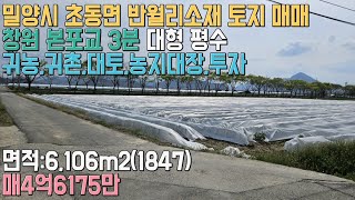 매물번호 290번/창원 본포교 3분 귀한 대형 평수/밀양시 초동면 반월리소재 토지 매매