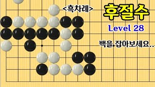 (후절수) 문제풀이 Level 28