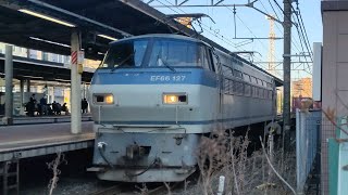 5月10日藤沢駅 吹田A4運用 2068レ EF66 127