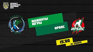 28.11.2020. «Мамонты Югры» – «Ирбис» | (Париматч МХЛ 20/21) – Прямая трансляция