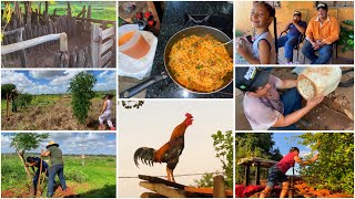 MANHÃ NO RECANTO|CHEGAMOS MAIS CEDO NA FAZENDA|TERMINANDO CHIQUEIRO NOVO|MACARRÃO COM CARNE NA JANTA