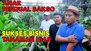 ANAK PENJUAL BAKSO SUKSES BISNIS TANAMAN HIAS || ANAK MILENIAL WAJIB NONTON !!!