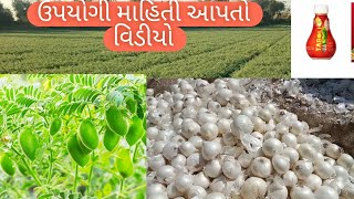 ડુંગળી માટે || ડુંગળી ની ખેતી || sumitomo taboli || Sumitomo chemical india pvt ltd