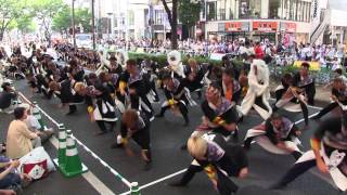 第16回にっぽんど真ん中祭り(2014/8/30)「近畿大学よさこい連洗心」