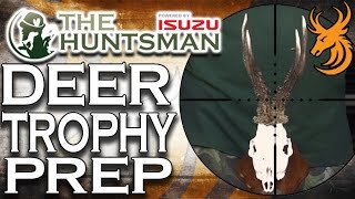 Hunting Tips : How To Prepare A Trophy Mount