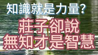 我們都說：知識就是力量。但是在莊子的世界裏，無知，才是更強大的智慧和力量。-【微光之路】