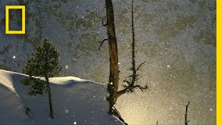 Diamond Dust | America's National Parks