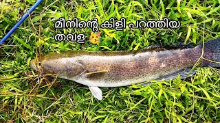 ഈ തവള ഉണ്ടങ്കിൽ ഇവനെ simple ആയി പിടിക്കാം 🐟🐟 fishing days