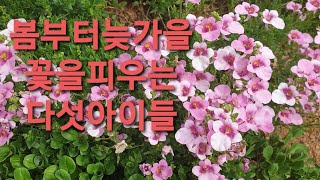 #봄부터늦가을까지 #꽃피우는 화초들