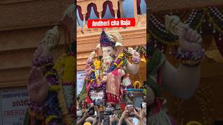 Andheri cha Raja #ganpativisarjan #shortsvideo #ganesh