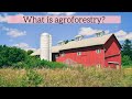 What is Agroforestry? | Agroforestry systems | Biodiversity | Regenerative agriculture