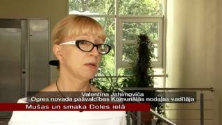 OgresTV: Mušas un smaka Doles ielā (23.08.2012)