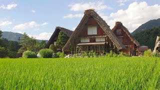 [ 4K Ultra HD ] 夏の白川郷 Shirakawa-go in Summer (Shot on RED EPIC)