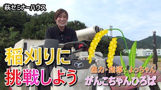 萩セミナーハウス「がんこちゃんひろば～稲刈りに挑戦しよう！」