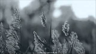 Leonard Cohen - Undertow