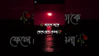 bangla shayari/whatsapp status video/Dukher status/dukher short video/shayari video/short status❣️❣️