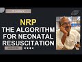 NRP algorithm-a quick summary l Neonatal resuscitation l Algorithm