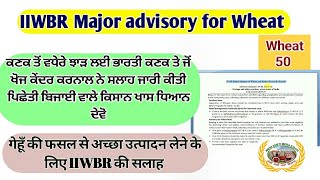 IIWBR advisory (16-30 Jan 24) for Wheat!  ਪਿਛੇਤੀ ਕਣਕ , ਯੂਰਿਆ! ਉੱਲੀ ਰੋਗ ! ਕੱਦ ਰੋਕਣ ਵਾਲਾ ਸਪਰੇਅ!