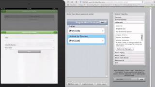 Tutorial: How to leverage an option list type segmented list in iFormBuilder