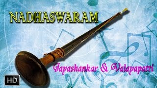 Classical Instrumental - Nadhaswaram - Thani Avarthanam - Jayashankar & Valayapatti Subramaniam