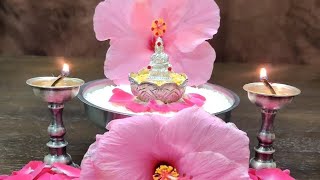 Maatha Annapurneshwari Abhishekam Pooja 🙏🌸 ಮಾತೆ ಅನ್ನಪೂರ್ಣೇಶ್ವರಿ ಅಭಿಷೇಕ ಪೂಜೆ🙏🌸 మా అన్నపూర్ణేశ్వరి పూజ