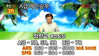 20190607 정완교의 싸이즈가 다른 방송 금요일 부산 경마예상방송