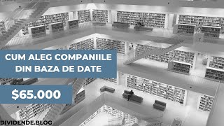 Cum aleg companiile din baza de date | DIVIDENDE