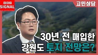 부동산시그널 : 30년 전 매입한 강원도 토지 전망은…?