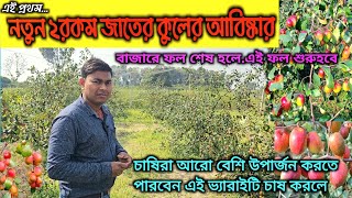 নতুন ভ্যারাইটির কুলের(বরই) আবিষ্কার।উচ্চ ফলনশিল,কালার ফুল ,সুমিষ্ট ও লাভজনক জাত