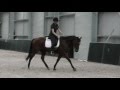 THE COOL DOWN OF YOUR HORSE (LESSON) - Dressage Mastery TV Episode 88