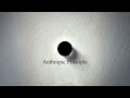 the anthropic principle