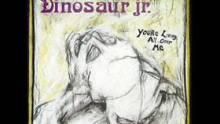 Raisans - Dinosaur Jr.