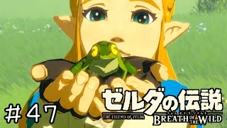 【実況】ゼルダの伝説BotW　＃４７【カエルを生で食わせる女】