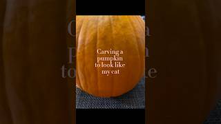 Carving a pumpkin like my cat 🐈 #cat #pumpkin #halloween #fall #fun #wellness #pumpkincats