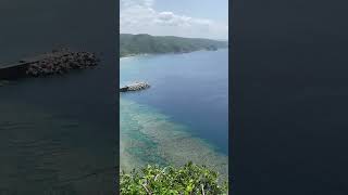 【沖縄/国頭村】高さ80mの断崖絶壁から見る絶景（It's a superb view from an 80-meter-high cliff）