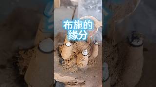 我是怎样开始布施的？ 源于一个梦  观音菩萨告诉我 布施十万杯水布施水的时候  可以放大悲咒！  保存好大悲咒音乐 起初我也是思量犹豫#布施 #烟供 #药供 #观世音菩萨大慈大悲