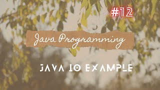 #12 Java IO Example